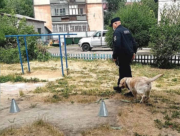 В Уральском округе проходят мероприятия в рамках всероссийского проекта «Каникулы с Росгвардией»