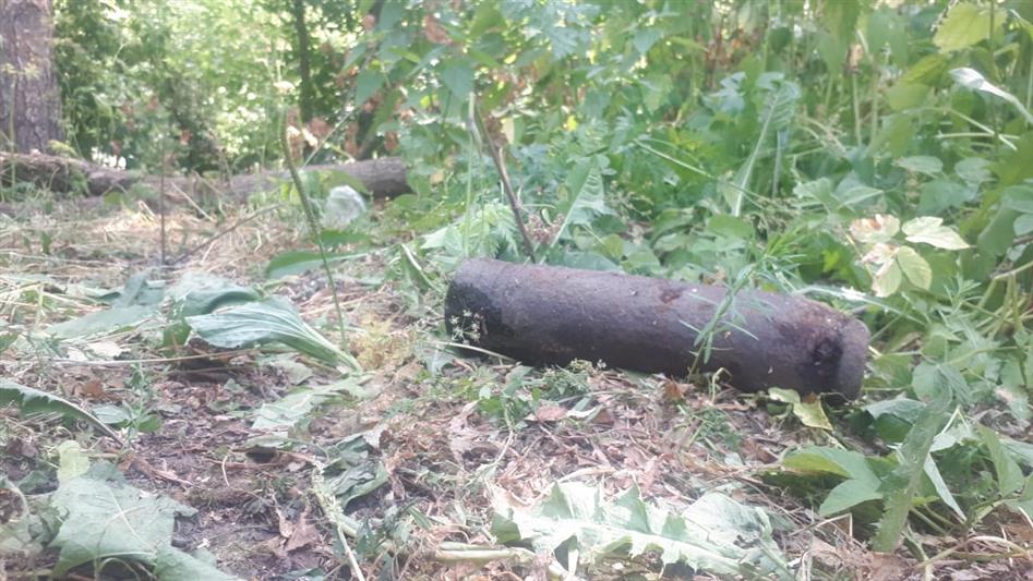 В Ярославской области сотрудники Росгвардии обезвредили боеприпас времён Великой Отечественной войны