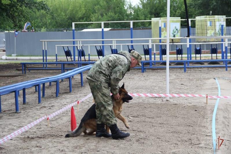 В Тюмени стартовал чемпионат Уральского округа Росгвардии по многоборью кинологов