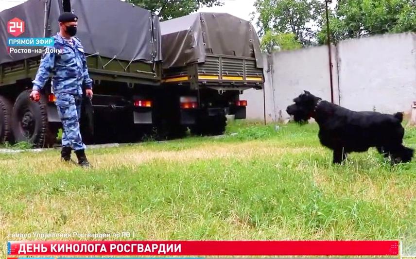 О службе росгвардейцев-кинологов узнали телезрители ростовского телеканала (видео)