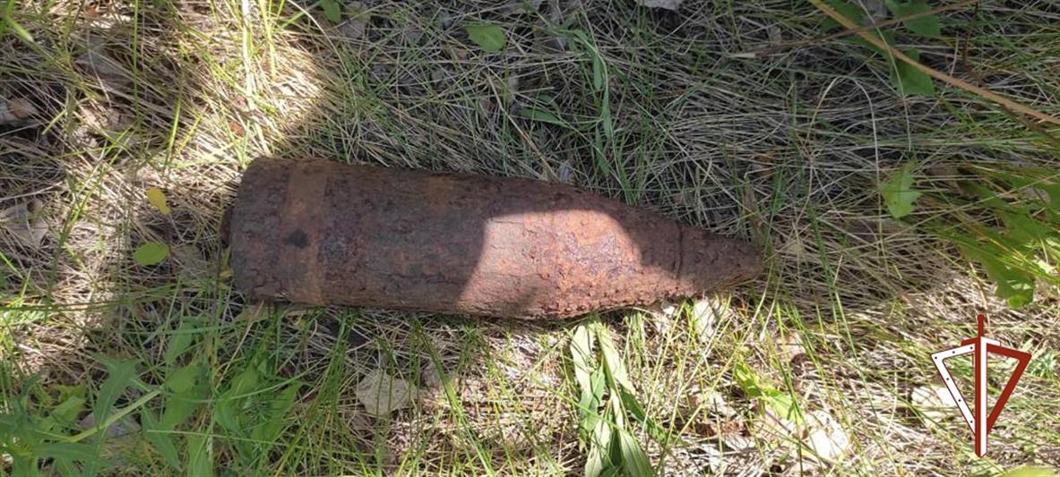 На Южном Урале сотрудники ОМОН Росгвардии обезвредили снаряд, обнаруженный на садовом участке 