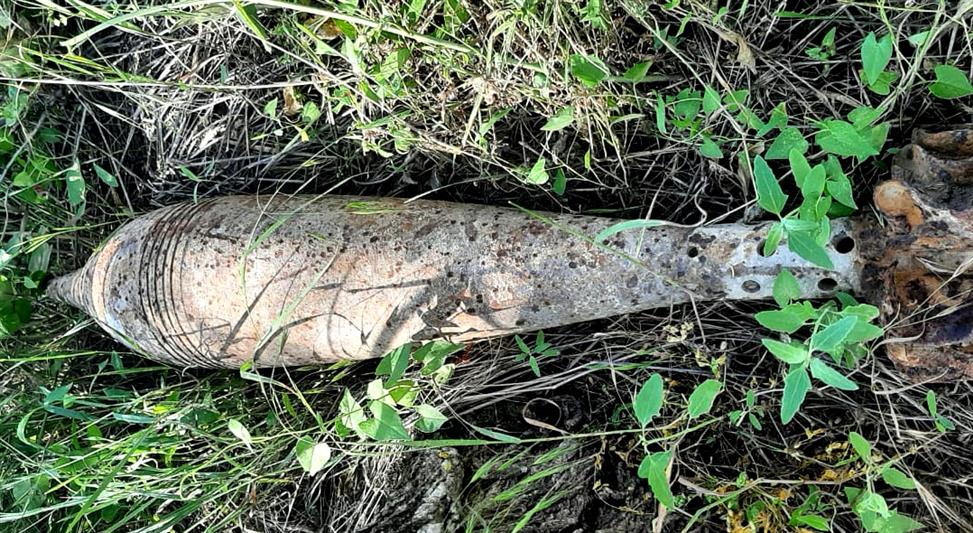 Взрывотехники Росгвардии в Севастополе обследовали несколько боеприпасов времен Великой Отечественной войны