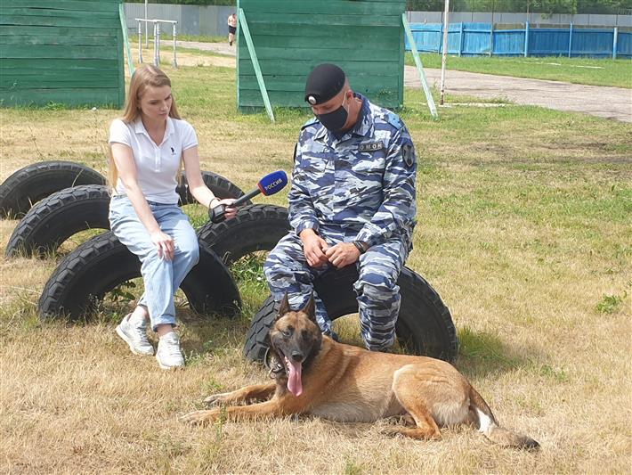 В Международный день собак ульяновские кинологи ОМОН Росгвардии рассказали о привычках своих четвероногих напарников