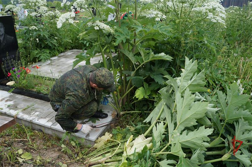 Росгвардейцы продолжают облагораживать места захоронений участников Великой Отечественной войны в Томской области 