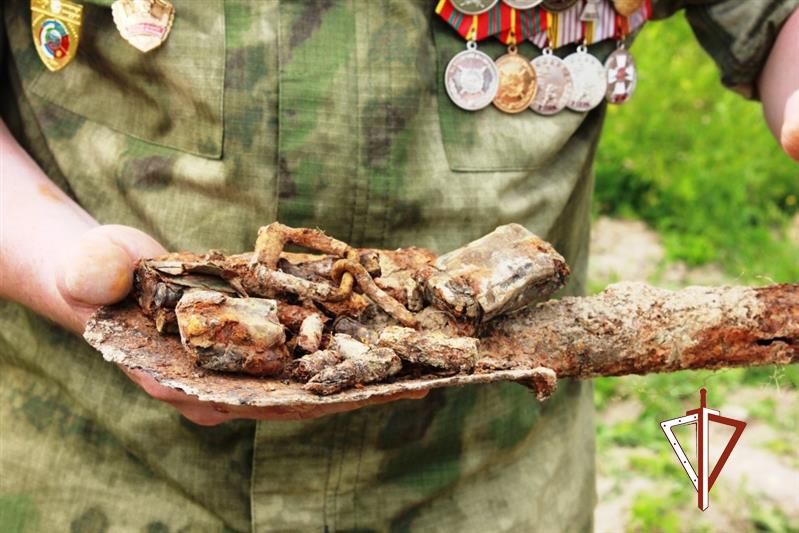 Офицер челябинского СОБР поделился воспоминаниями об участии в поисковой экспедиции на Смоленщину