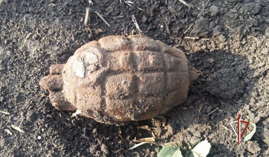  Взрывотехники ОМОН уничтожили гранату времён Первой мировой войны, обнаруженную в Тюменской области