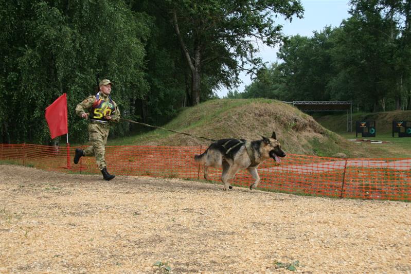 Кинологи Росгвардии завоевали "серебро" на Всеармейском конкурсе «Верный друг»