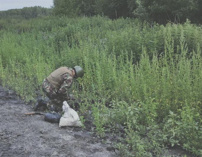 Взрывотехники ОМОН уничтожили в Омской области боевую гранату времен Великой Отечественной войны