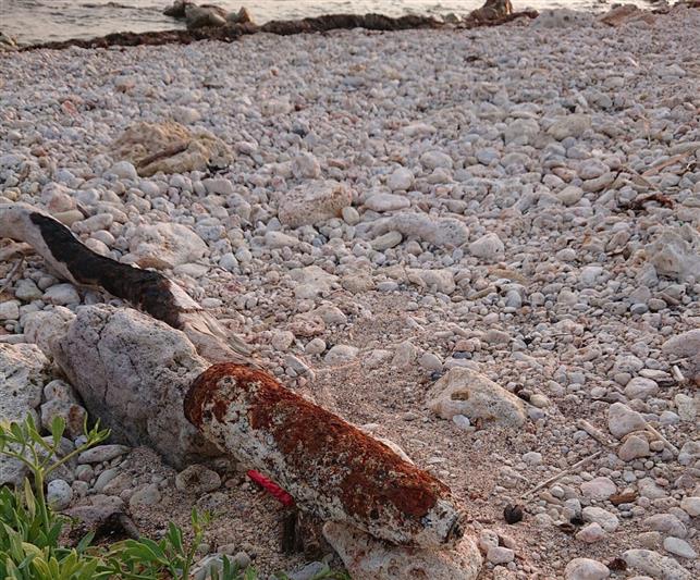 В Севастополе росгвардейцы обследовали боеприпас  времен Великой Отечественной войны