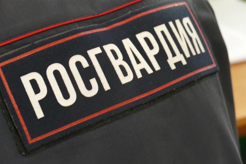 В Туве сотрудники Росгвардии задержали подозреваемого в угоне автомобиля 