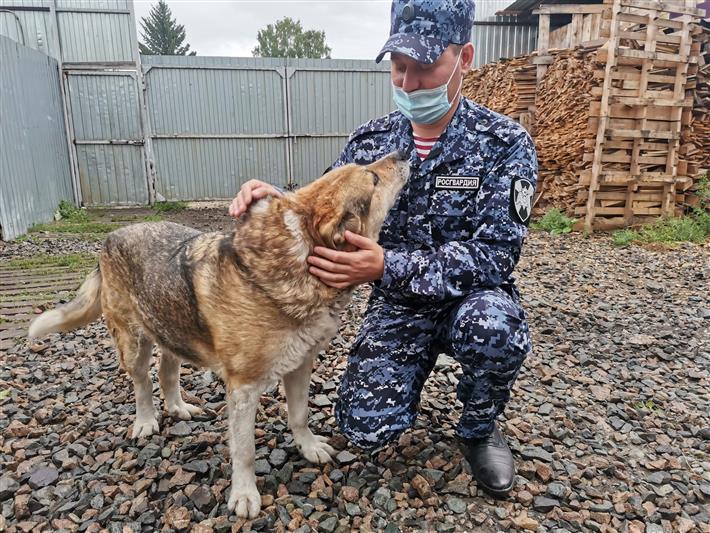 Кузбасские росгвардейцы помогли приюту для бездомных животных