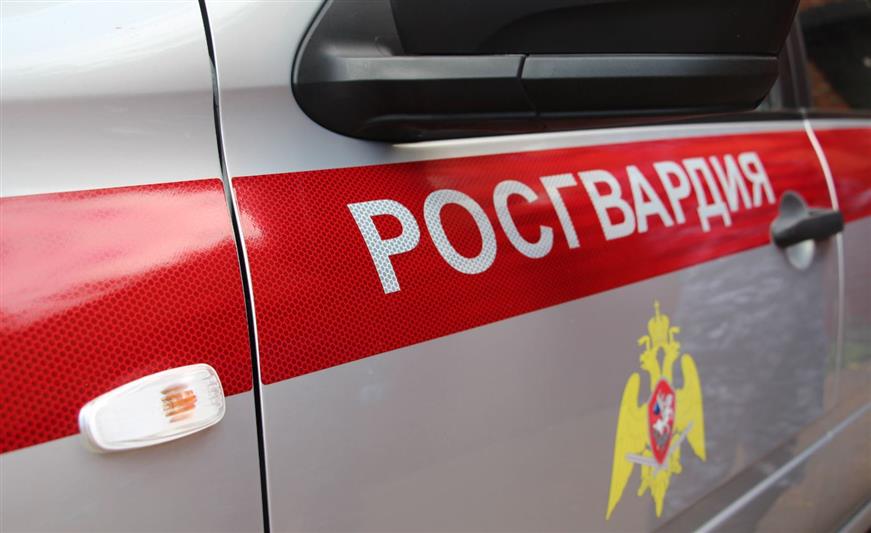 Росгвардейцы выявили около ста кустов наркосодержащих растений в Белгородской области