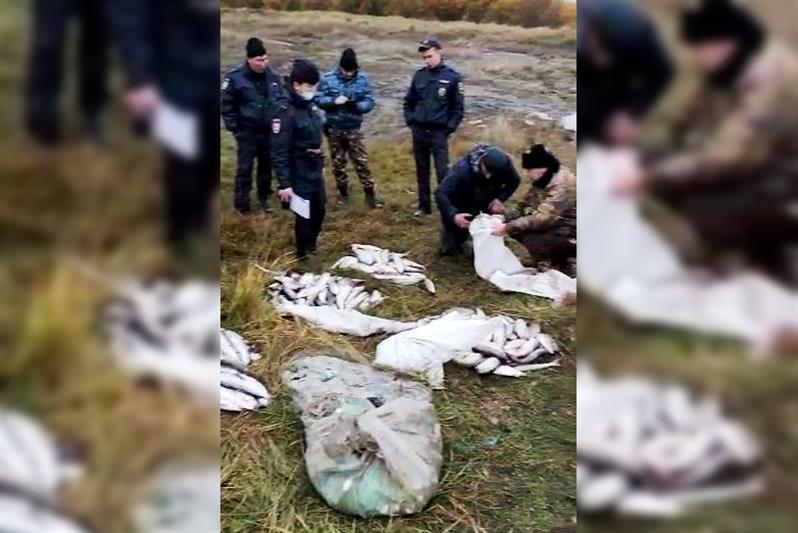 При содействии Росгвардии в Бурятии задержаны браконьеры