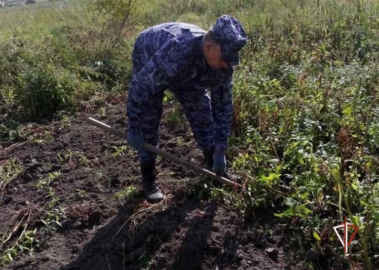 Адресную помощь ветеранам оказали росгвардейцы в Тюменской области 