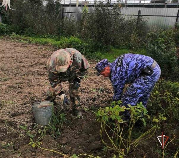 Адресную помощь ветеранам оказали росгвардейцы в Тюменской области 