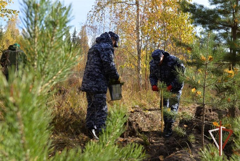 Росгвардия поддержала всероссийскую экологическую акцию на Среднем Урале