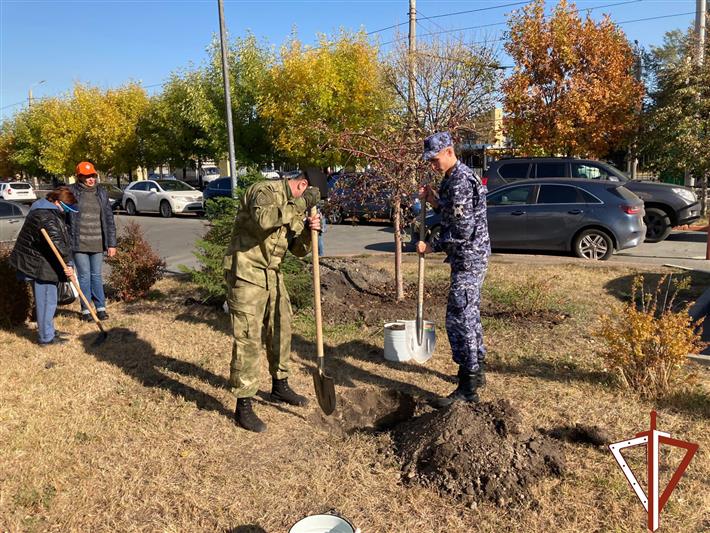 Росгвардия помогла детской больнице в Челябинске в озеленении территории
