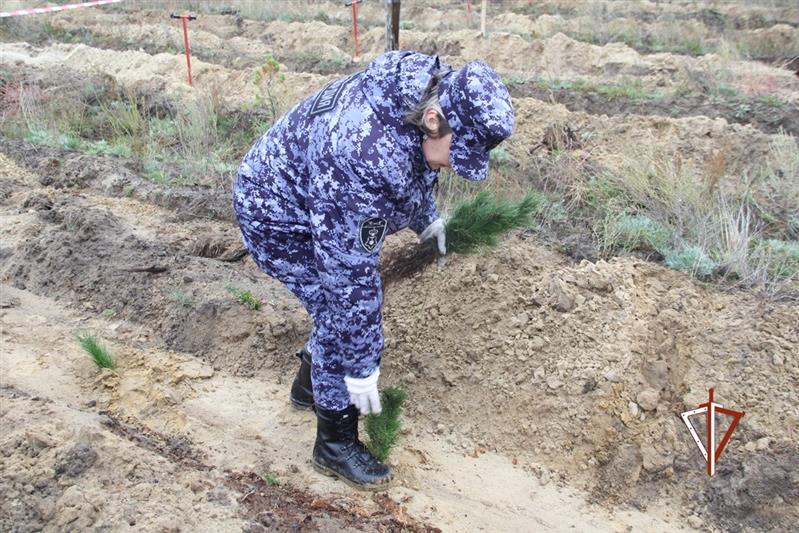 Росгвардия поддержала национальные экологические проекты на Урале