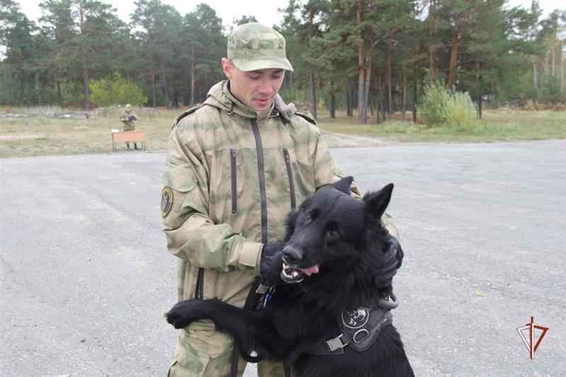В Тюмени кинологам Росгвардии  вручили  свидетельства об успешном завершении курса обучения (видео)