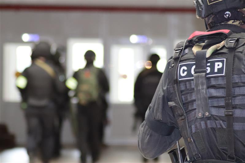 При участии СОБР Росгвардии задержаны подозреваемые в незаконной вырубке леса в Амурской области