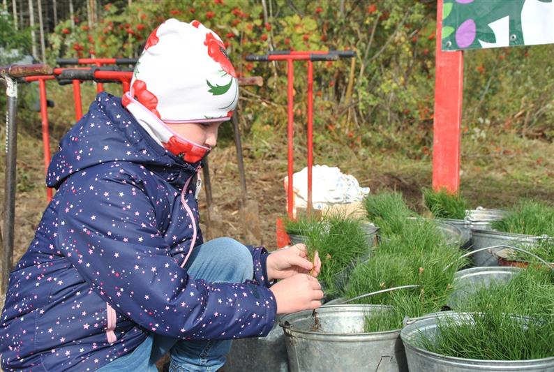 Кировские росгвардейцы поддержали всероссийскую экологическую акцию "Сохраним лес"
