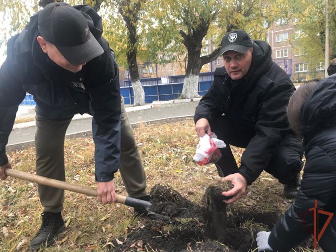 Ветераны челябинского СОБР Росгвардии высадили кедры на территории подшефной школы  