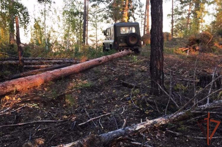 Росгвардейцы задержали подозреваемых в незаконной рубке леса в Бурятии