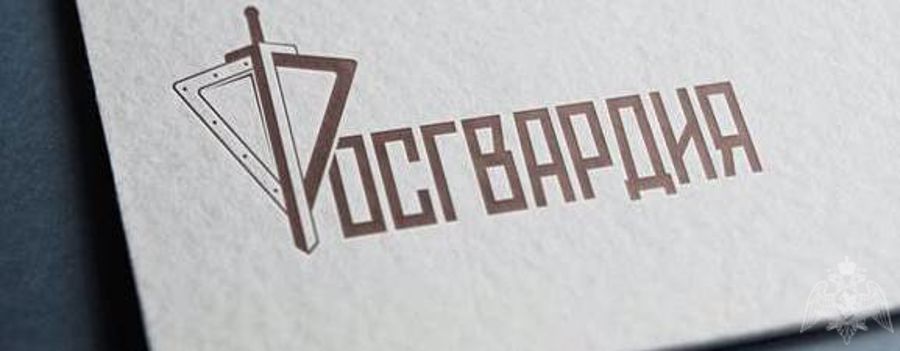 Столичные росгвардейцы обеспечили правопорядок во время матчей между командами «ЦСКА» - «Краснодар» и «Динамо» - «Крылья советов»