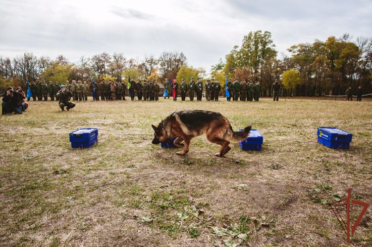 В Белгородской области состоялся полевой выход военно-патриотических клубов, посвященный Дню СОБР и ОМОН Росгвардии 