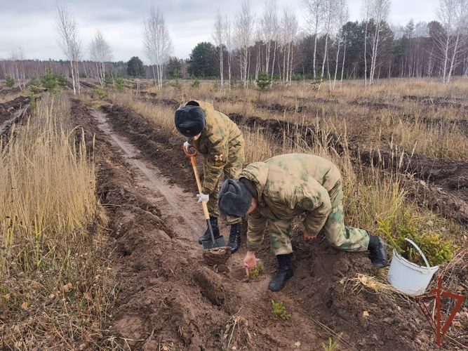 Более 1200 деревьев высадили спецназовцы и курсанты Росгвардии в рамках акции «Сохраним лес» в Казани
