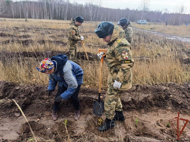Более 1200 деревьев высадили спецназовцы и курсанты Росгвардии в рамках акции «Сохраним лес» в Казани