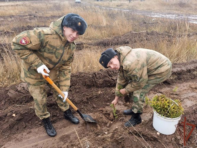 Более 1200 деревьев высадили спецназовцы и курсанты Росгвардии в рамках акции «Сохраним лес» в Казани