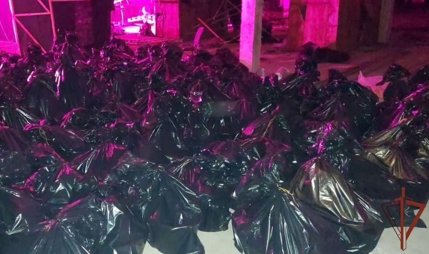 При содействии ОМОН на транспорте в Ленинградской области пресечено масштабное культивирование наркосодержащих растений