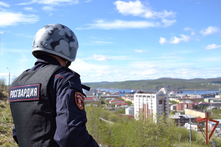 Подозреваемый в убийстве задержан росгвардейцами в Апатитах