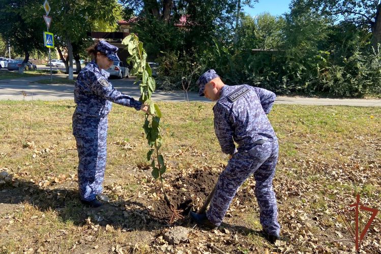 Росгвардия провела экологические акции в Ростовской области
