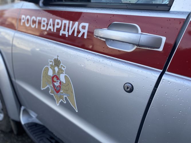 Патруль Росгвардии задержал в Северске нетрезвого водителя 