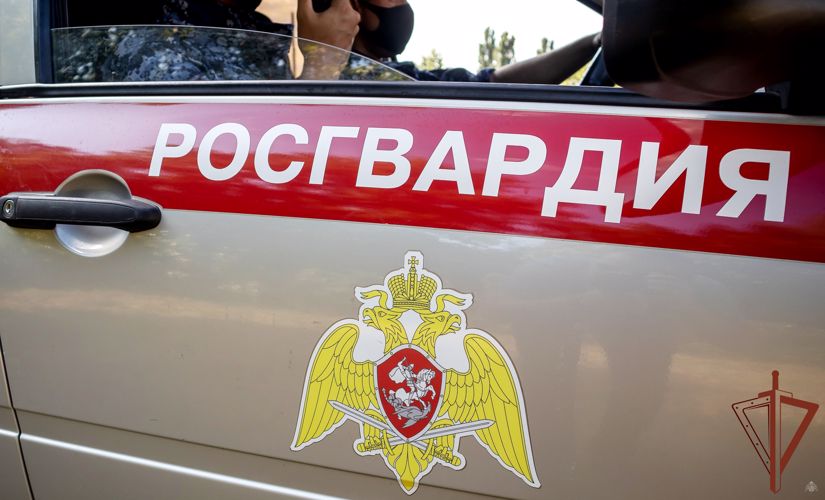 Росгвардейцы пресекли действия краснодарца, создававшего опасные ситуации на дороге