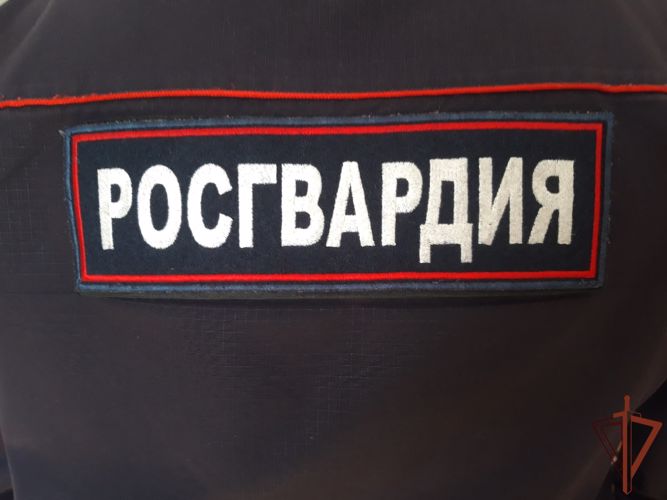 Росгвардейцы пресекли незаконное проникновение на крышу здания РАН в Москве