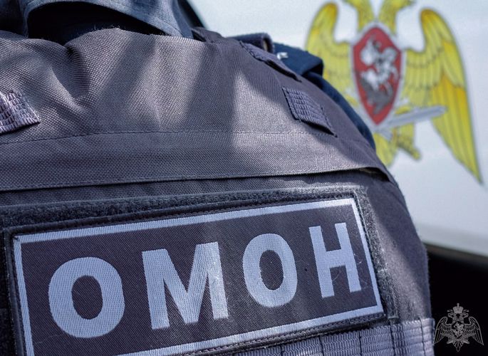 При содействии Росгвардии в Удмуртии задержан подозреваемый в распространении запрещенного контента