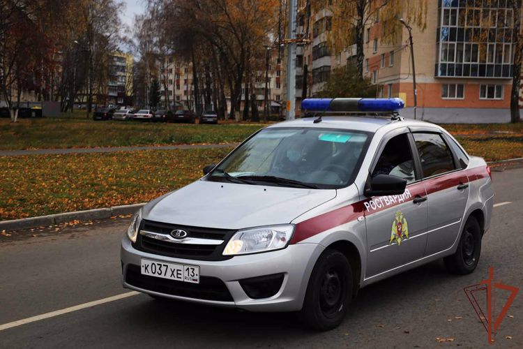 Росгвардейцы оказали содействие ДПС в задержании пьяного водителя в Мордовии 
