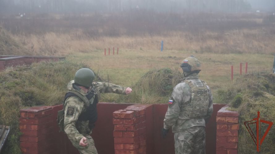 Сотрудники псковского СОБР Росгвардии провели занятия по боевому гранатометанию (видео)