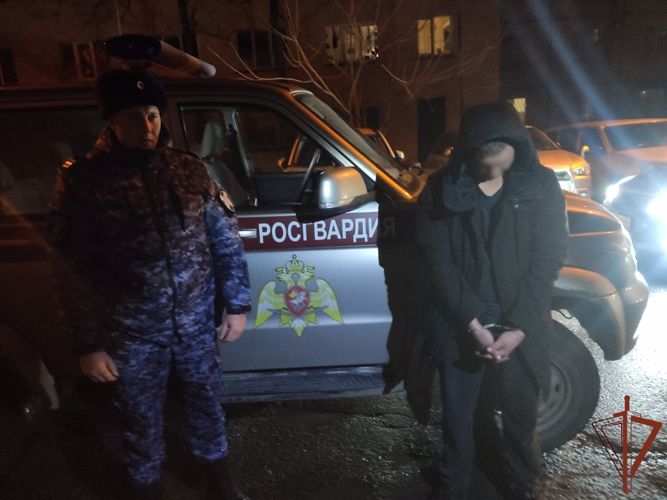 В Южно-Сахалинске росгвардейцы задержали водителя автомобиля, который скрылся после наезда на пешехода 