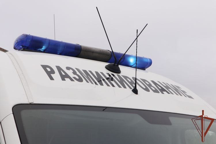 Взрывотехники петербургского ОМОН Росгвардии обследовали неразорвавшийся снаряд времён войны