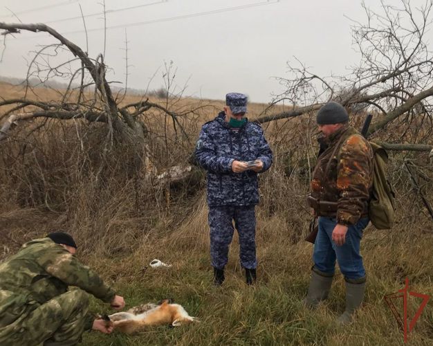Росгвардия провела профилактические рейды по соблюдению законодательства в сфере оборота оружия в Белгородской области