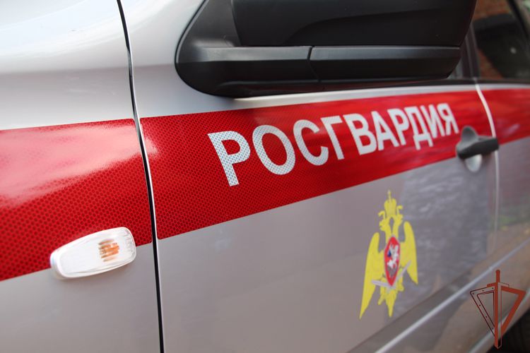 Патруль Росгвардии разыскал потерявшегося ребенка в Тульской области