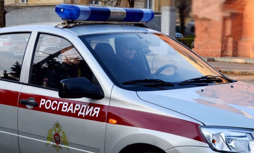 Росгвардейцы предотвратили ограбление Русского музея в Санкт-Петербурге 