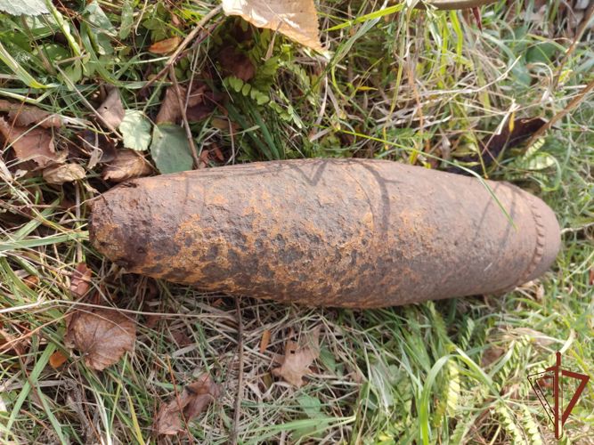 Росгвардейцы уничтожили 9 боеприпасов периода войны, найденных в Крымском районе 