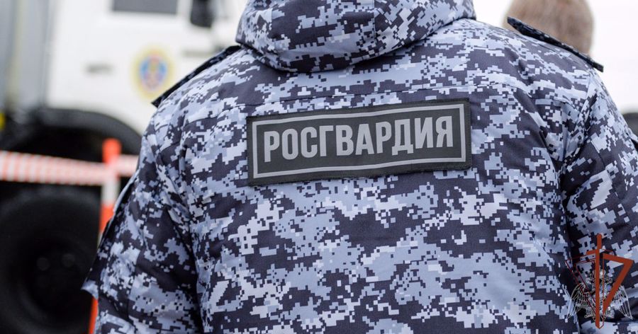 Росгвардейцы задержали нетрезвого водителя в Псковской области 