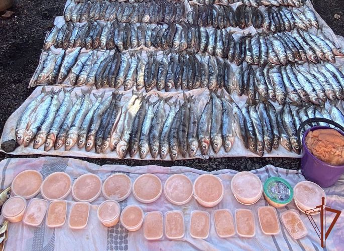 При содействии Росгвардии в Бурятии изъято более тысячи экземпляров незаконно добытой рыбы 