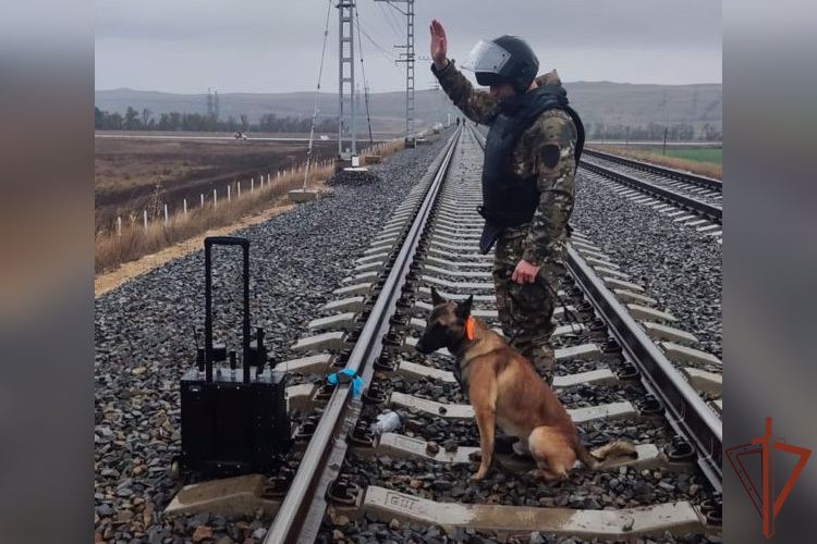 Межведомственная тренировка с участием Росгвардии проходит в районе Керченского пролива
